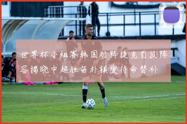 世界杯小组赛韩国对阵捷克首发阵容揭晓中超独苗朴镇燮待命替补